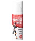 Hondrowell