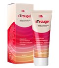 Traugel