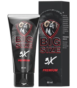 BigSize
